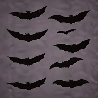 images of bats for halloween