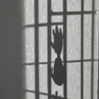 window shadow