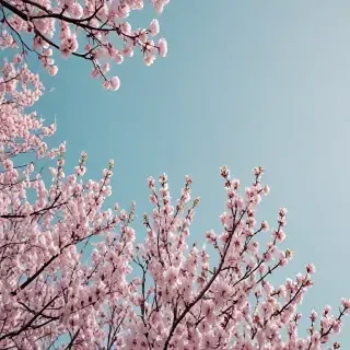 spring aesthetic desktop wallpaper