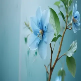 light blue wallpapers