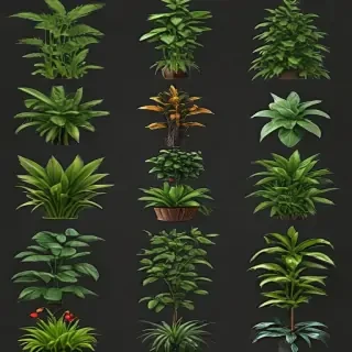 plants transparent background