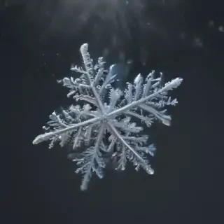 snow transparent background