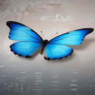 aesthetic blue butterfly