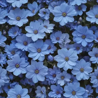 aesthetic blue flowers