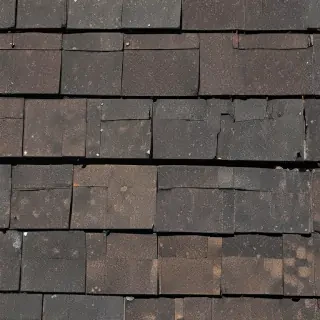 pictures of shingles