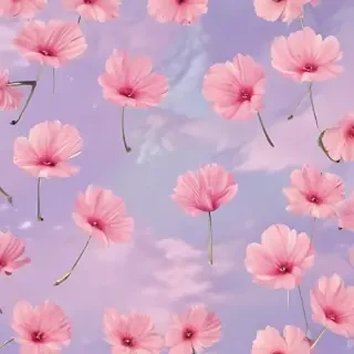 wallpapers for phones aesthetic