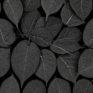 leaf images black and white
