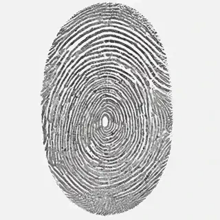 fingerprint png