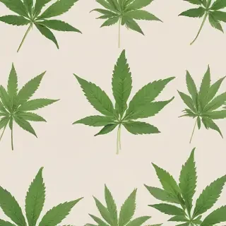weed leaf png
