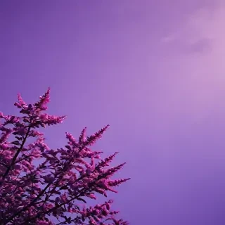 purple iphone wallpaper aesthetic