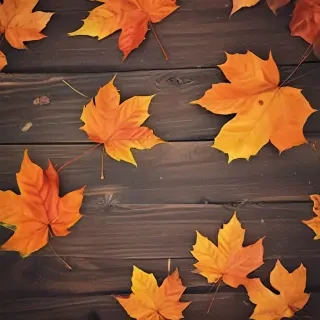 fall background iphone