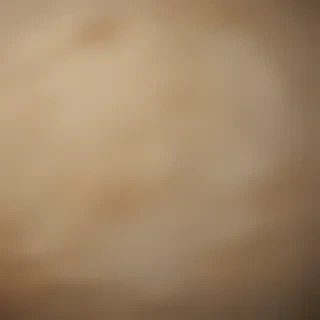 canvas texture overlay