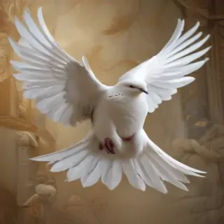dove bird
