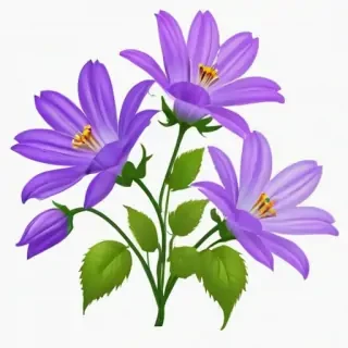 clipart transparent background flowers