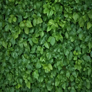 green leaves background