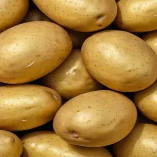 potato png