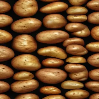 potato transparent background