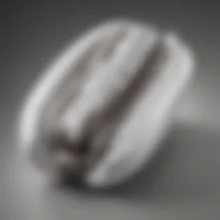 hot dog clipart black and white