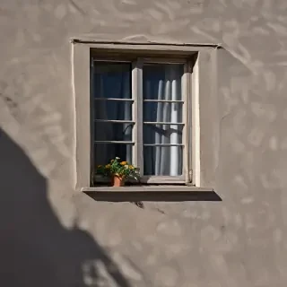 shadow window