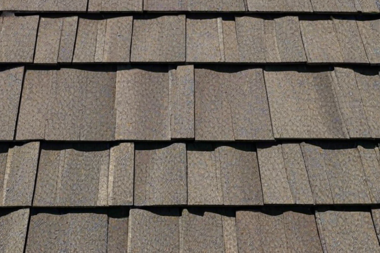 picture of shingles