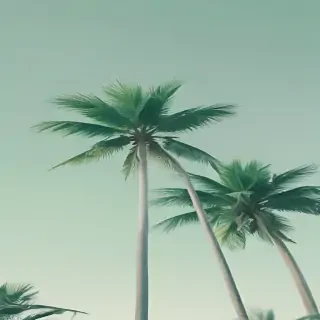 pastel green aesthetic wallpaper
