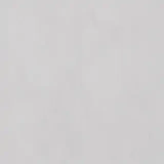 white grey background