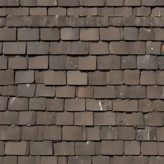 shingles images
