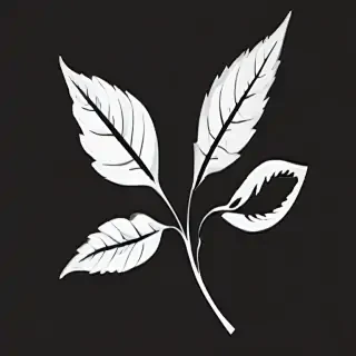 black and white leaf clip art