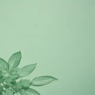 mint green bg