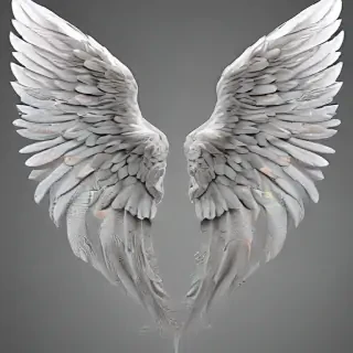 angel wing images