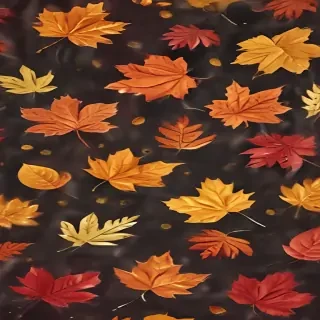 fall wallpaper