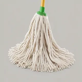 mop png