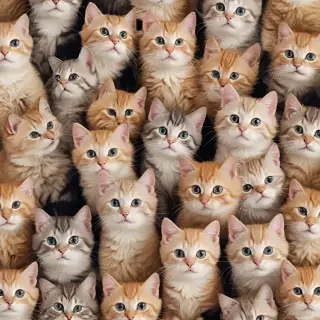 iphone wallpaper cats