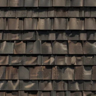 pictures of shingles