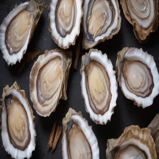 oysters png