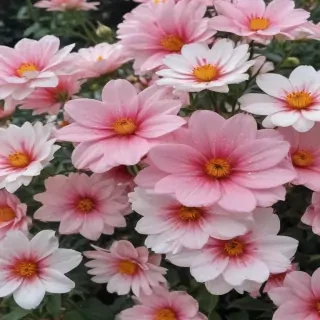 flower aesthetic