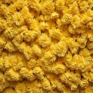 yellow aesthetic background