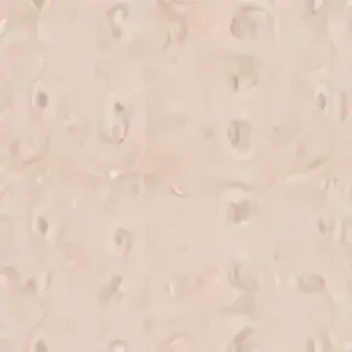 neutral aesthetic background