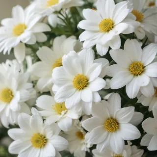 white flowers wallpaper iphone