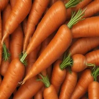 carrot png