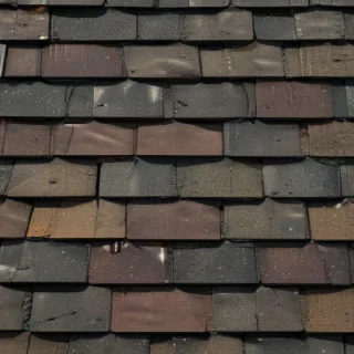 picture of shingles