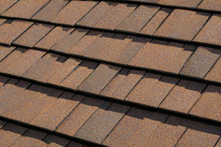 shingles images