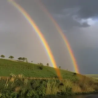 double rainbow