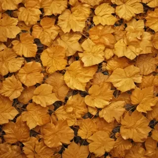 golden leaves background