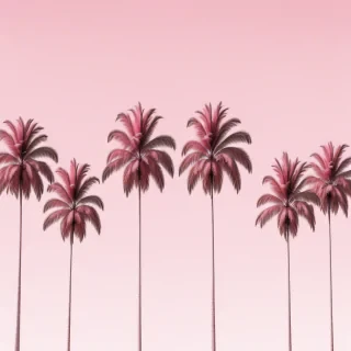 pink palm trees