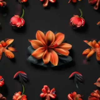 phone wallpaper black