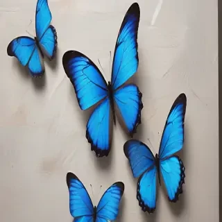 aesthetic blue butterfly