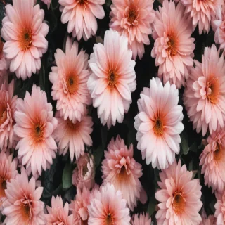 cute aesthetic wallpapers flowers