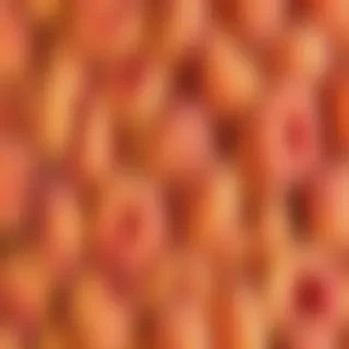 peaches background