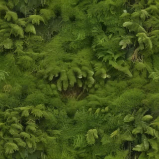 moss png